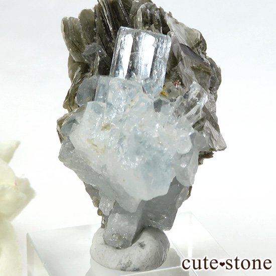 ѥ ޥդ뾽ʸС33gμ̿2 cute stone