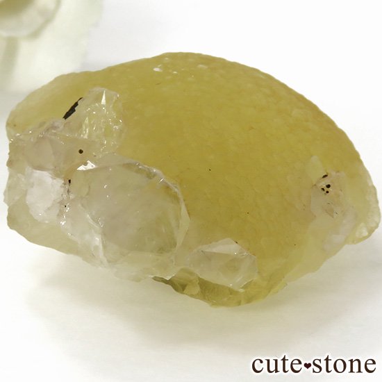 ɻ Υե饤ȡĤθ 40gʸСʪɸܡˤμ̿0 cute stone