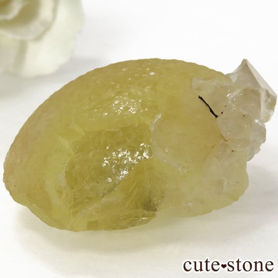 ɻ Υե饤ȡĤθ 40gʸСʪɸܡˤμ̿1 cute stone