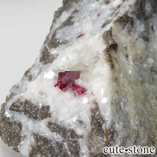 äʥ󥷥˥ʥСդ 115gμ̿1 cute stone