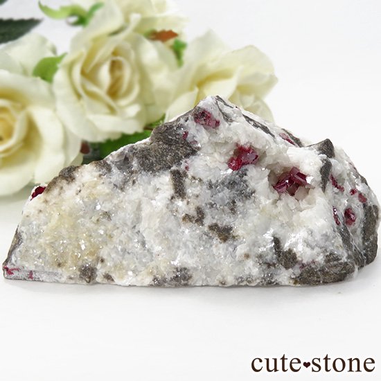 äʥ󥷥˥ʥСդ 115gμ̿2 cute stone