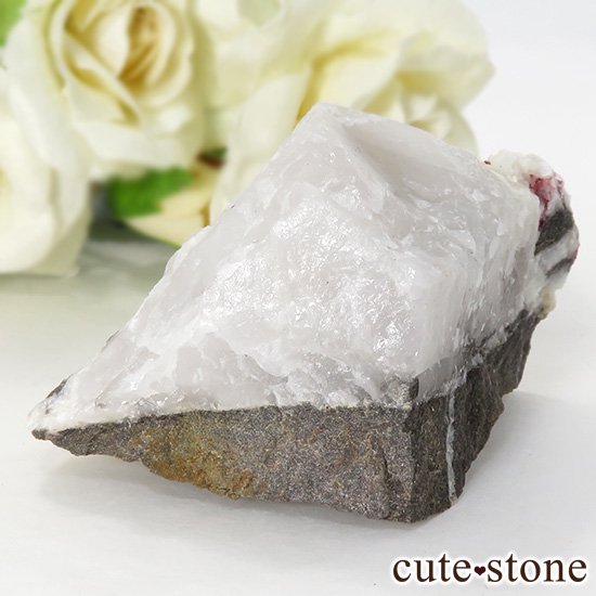 äʥ󥷥˥ʥСդ 77gμ̿3 cute stone