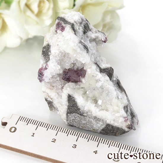 äʥ󥷥˥ʥСդ 81gμ̿3 cute stone