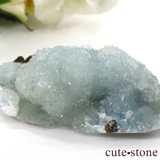  ʻ إߥեȤθ 48gμ̿1 cute stone
