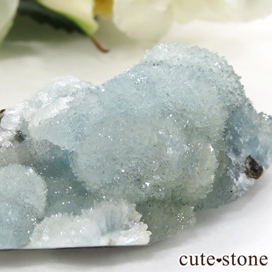  ʻ إߥեȤθ 48gμ̿2 cute stone