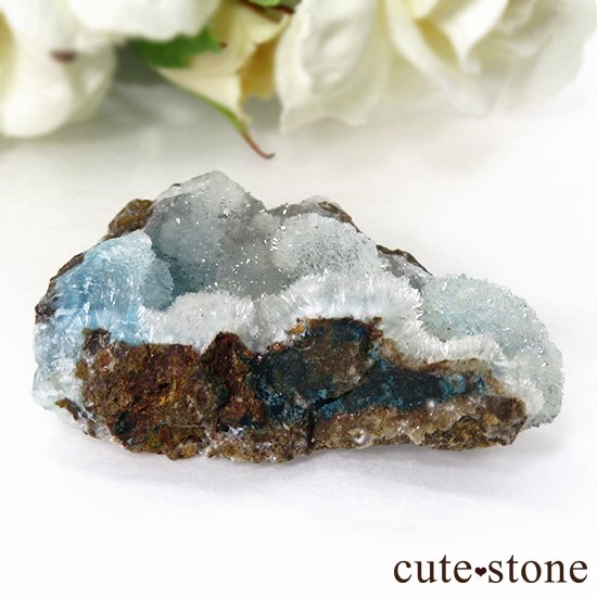  ʻ إߥեȤθ 27gμ̿0 cute stone