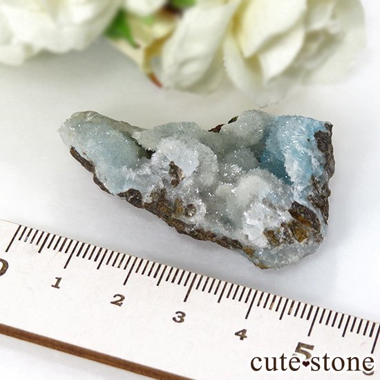  ʻ إߥեȤθ 27gμ̿3 cute stone