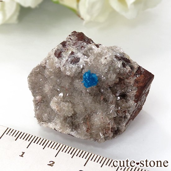  ץ͡ڥ󥿥ʥȤθ 35gμ̿2 cute stone