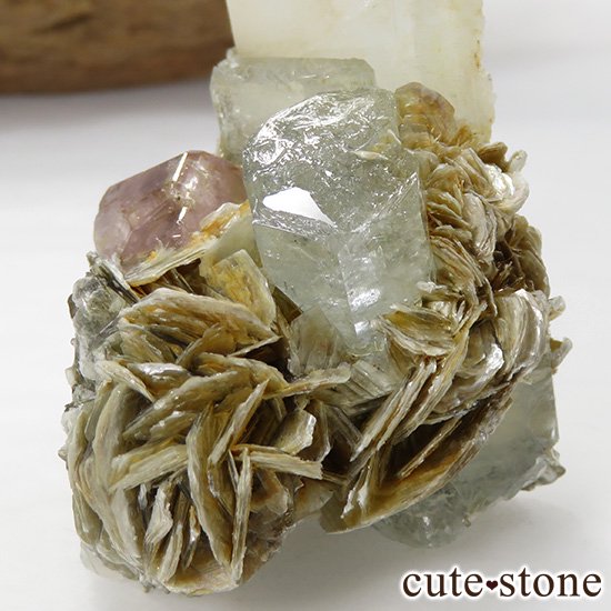 ѥ ޥԥ󥯥ѥȤζɸܡʸС39gμ̿1 cute stone