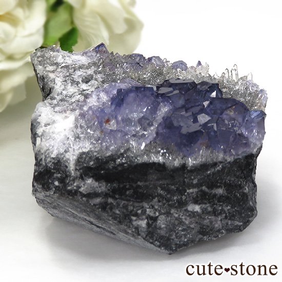  ʡʻѡץ֥롼ե饤Ȥη뾽ʸС 202gμ̿0 cute stone