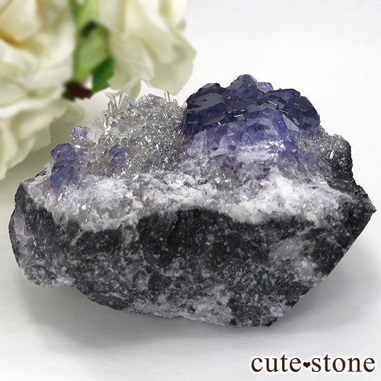  ʡʻѡץ֥롼ե饤Ȥη뾽ʸС 202gμ̿1 cute stone