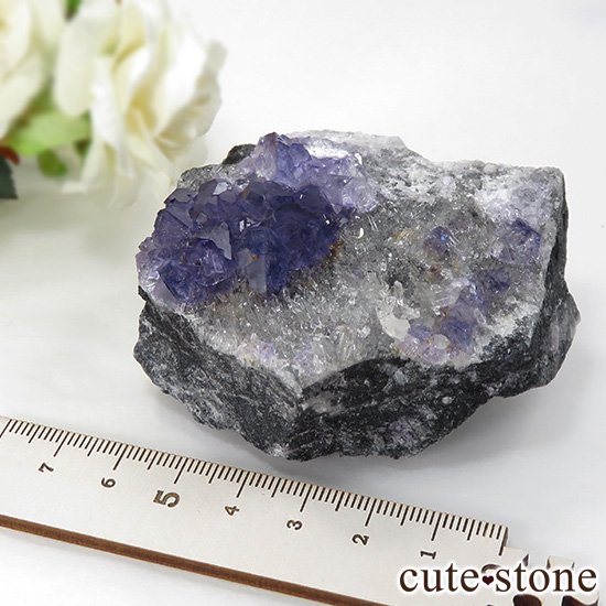  ʡʻѡץ֥롼ե饤Ȥη뾽ʸС 202gμ̿4 cute stone