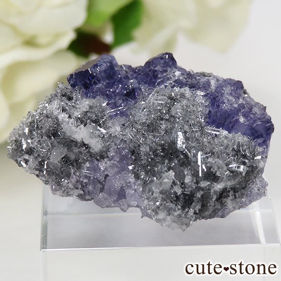  ʡʻѡץ֥롼ե饤Ȥη뾽ʸС 17gμ̿0 cute stone