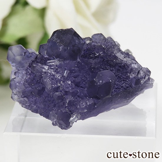  ʡʻѡץ֥롼ե饤Ȥη뾽ʸС 13gμ̿1 cute stone