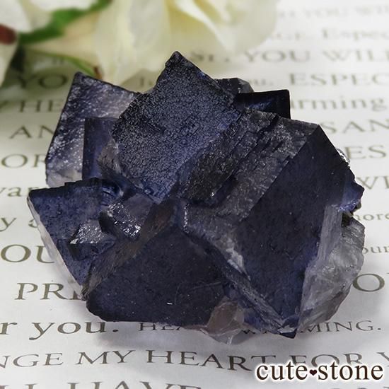 ꥫ ०åɹۻ ѡץ֥롼ե饤Ȥθ 70gμ̿0 cute stone