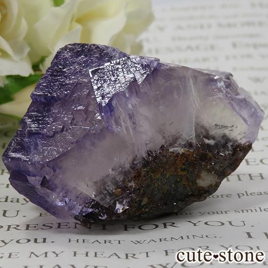 ꥫ ०åɹۻ ѡץ֥롼ե饤Ȥθ 79gμ̿1 cute stone