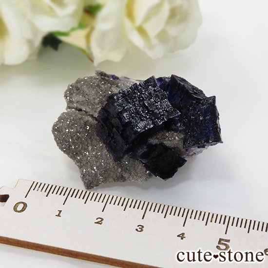 ꥫ ०åɹۻ ѡץ֥롼ե饤Ȥθ 35gμ̿4 cute stone