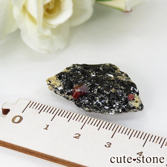ѥ 륳θ 7.2gμ̿2 cute stone