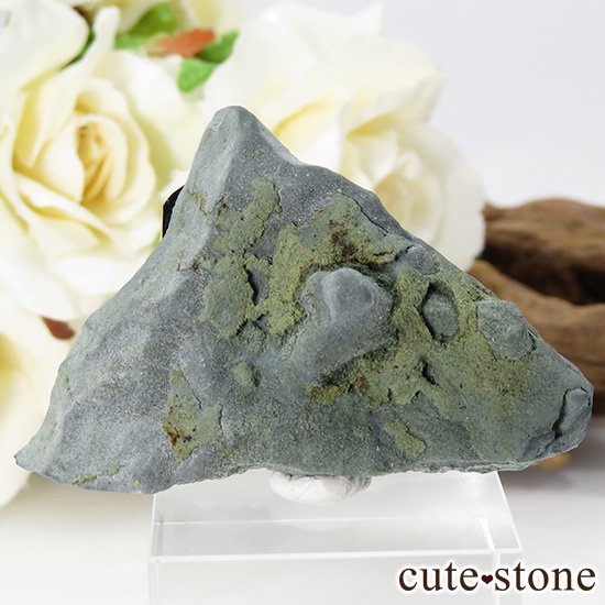 ե˥ ͥץʥȤդ뾽ʸС 14gμ̿0 cute stone
