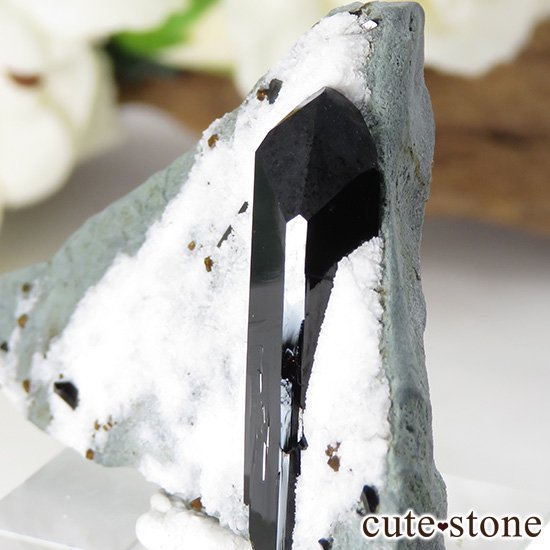 ե˥ ͥץʥȤդ뾽ʸС 14gμ̿3 cute stone
