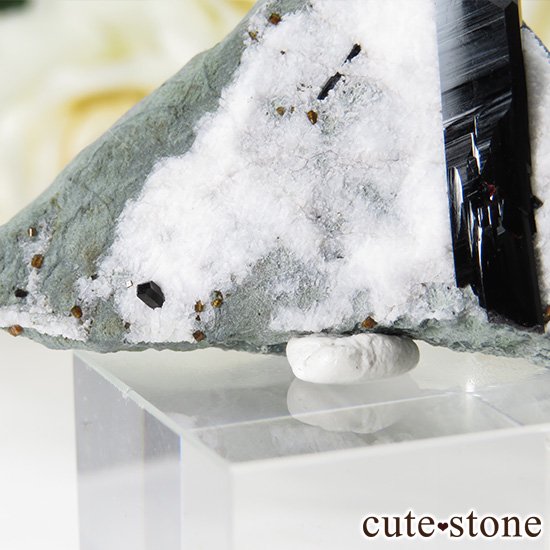 ե˥ ͥץʥȤդ뾽ʸС 14gμ̿5 cute stone