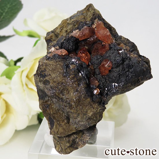 ڥ롼 ɥȡʥ󥫥ˤդ뾽ʸС 85gμ̿2 cute stone