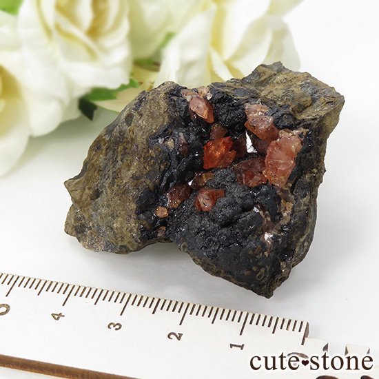 ڥ롼 ɥȡʥ󥫥ˤդ뾽ʸС 85gμ̿5 cute stone