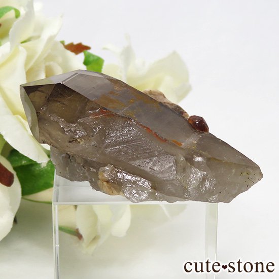 ⡼&ڥƥ󥬡ͥåȤθ 21gμ̿1 cute stone