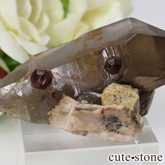 ⡼&ڥƥ󥬡ͥåȤθ 21gμ̿3 cute stone