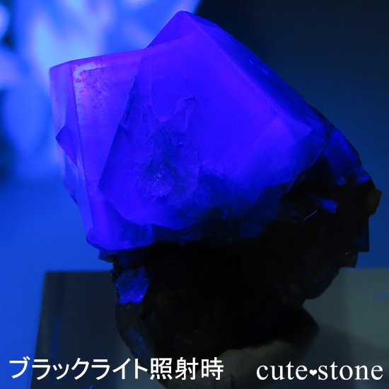 󥰥 Diana Mariaۻ ָե饤Ȥդ뾽ʸС7.4gμ̿2 cute stone