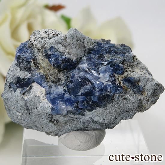 ե˥ ٥˥ȥȤդ뾽ʸС 7.8gμ̿1 cute stone