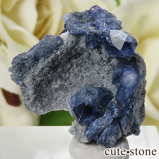 ե˥ ٥˥ȥȤդ뾽ʸС 3gμ̿0 cute stone
