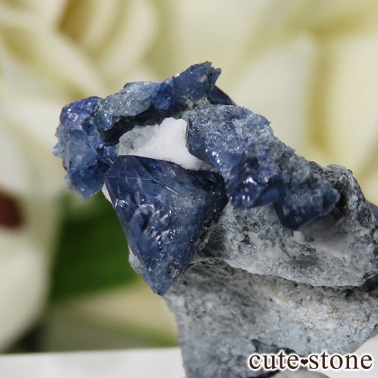 ե˥ ٥˥ȥȤդ뾽ʸС 3gμ̿3 cute stone