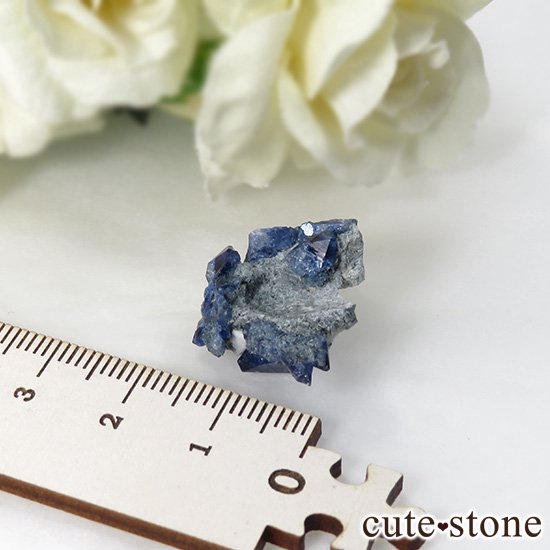 ե˥ ٥˥ȥȤդ뾽ʸС 3gμ̿4 cute stone