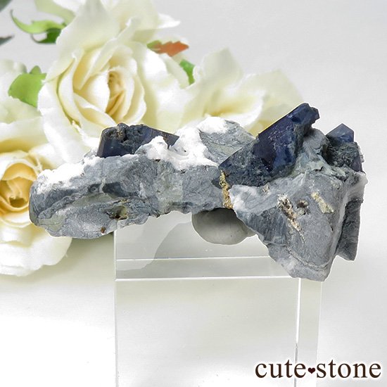 ե˥ ٥˥ȥȤդ뾽ʸС 22.5gμ̿0 cute stone