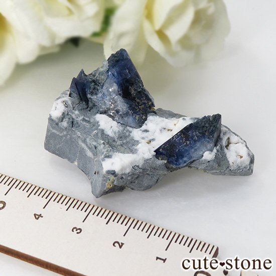 ե˥ ٥˥ȥȤդ뾽ʸС 22.5gμ̿6 cute stone