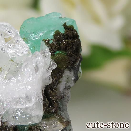 ӥ ॾۻ ɤդ뾽ʸС 13gμ̿1 cute stone