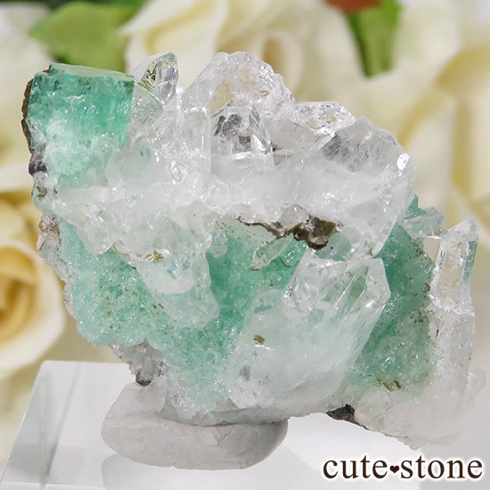 ӥ ॾۻ ɤդ뾽ʸС 13gμ̿5 cute stone