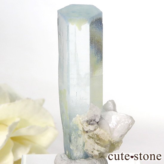 ѥ ɥ դޥʸС7.5gμ̿1 cute stone