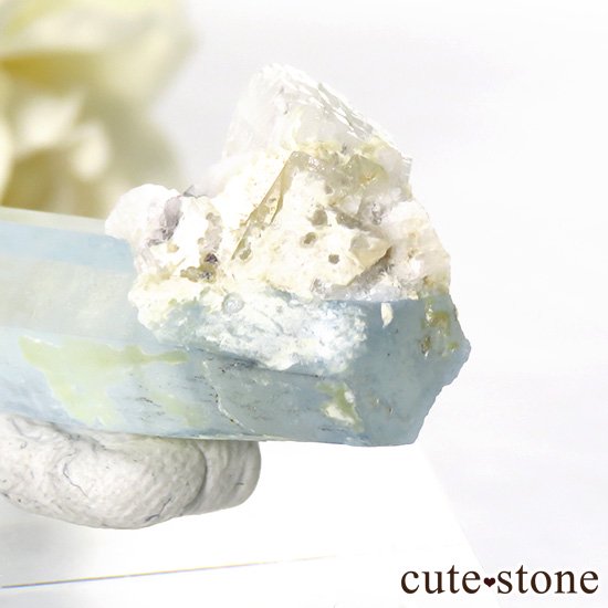 ѥ ɥ դޥʸС7.5gμ̿2 cute stone