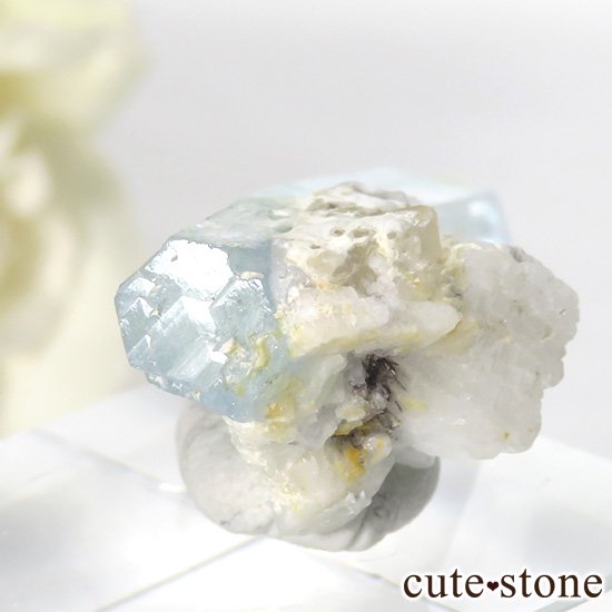 ѥ ɥ դޥʸС7.5gμ̿3 cute stone