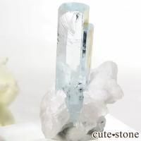 ѥ ɥ դޥʸС5.4gβ