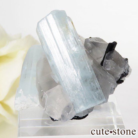 ѥ ɥ ޥ徽֥åȥޥ 26.3gμ̿0 cute stone