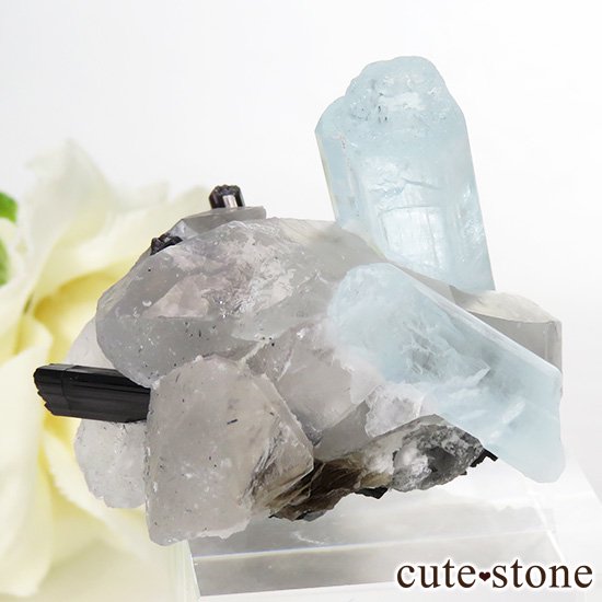 ѥ ɥ ޥ徽֥åȥޥ 26.3gμ̿1 cute stone