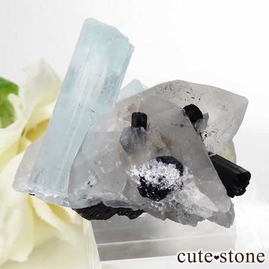 ѥ ɥ ޥ徽֥åȥޥ 26.3gμ̿2 cute stone