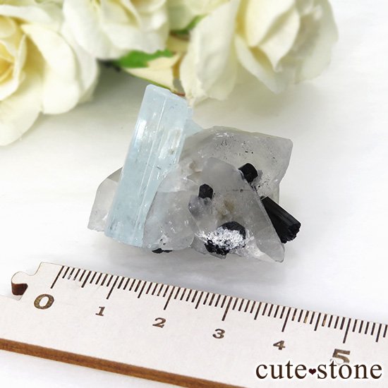 ѥ ɥ ޥ徽֥åȥޥ 26.3gμ̿4 cute stone