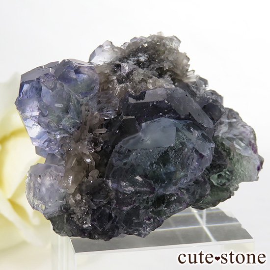  ʡʻѡץ֥롼ե饤Ȥη뾽ʸС 46.7gμ̿0 cute stone