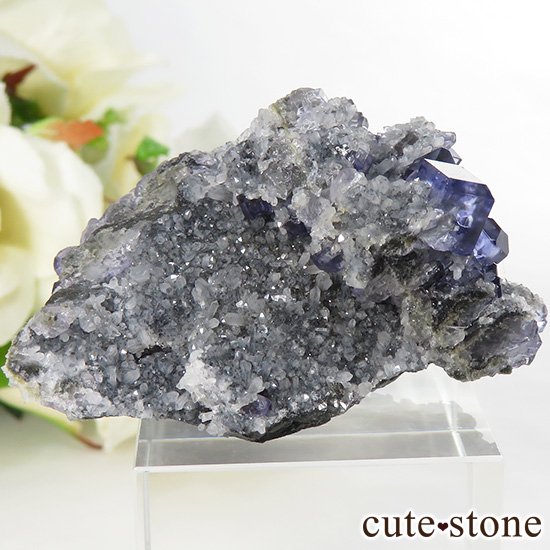  ʡʻѡץ֥롼ե饤Ȥη뾽ʸС 28.7gμ̿0 cute stone
