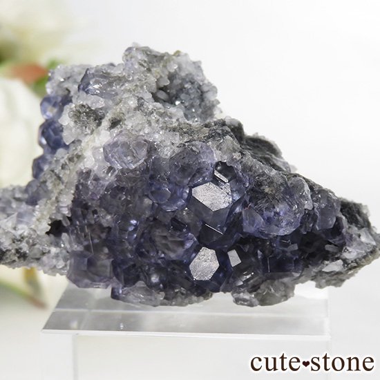  ʡʻѡץ֥롼ե饤Ȥη뾽ʸС 28.7gμ̿1 cute stone