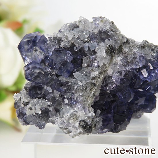  ʡʻѡץ֥롼ե饤Ȥη뾽ʸС 28.7gμ̿2 cute stone